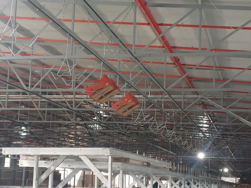 Ceres Pack House streamlines carton flow with Powercon’s CR45 overhead monorail