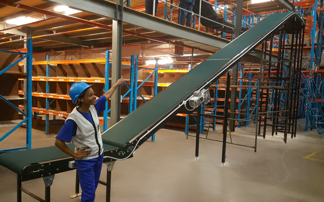 Inter-Floor Conveyors for Warehouses and Multi-Level Storage Solutions